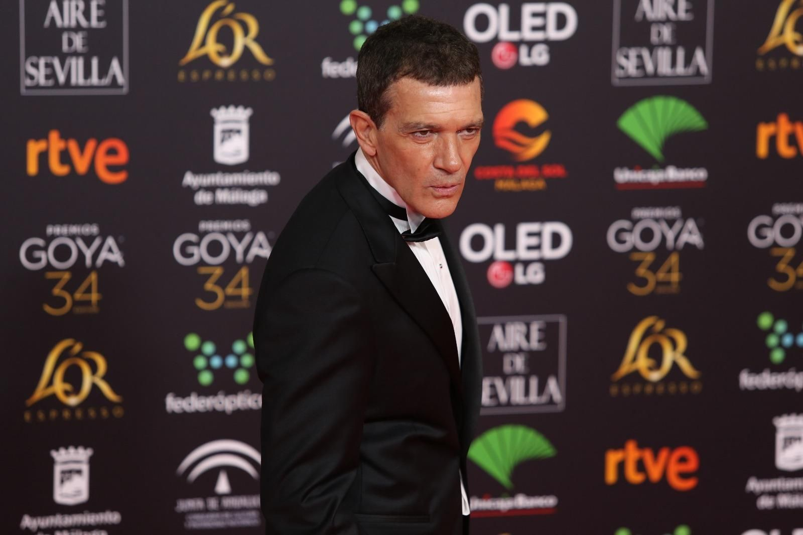 La alfombra roja de los Goya 2020 en Málaga