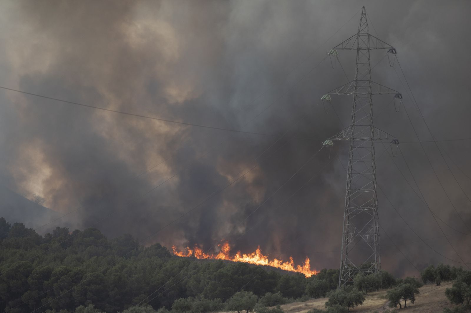 El fuego obliga a desalojar viviendas y se acerca a urbanizaciones de Albolote