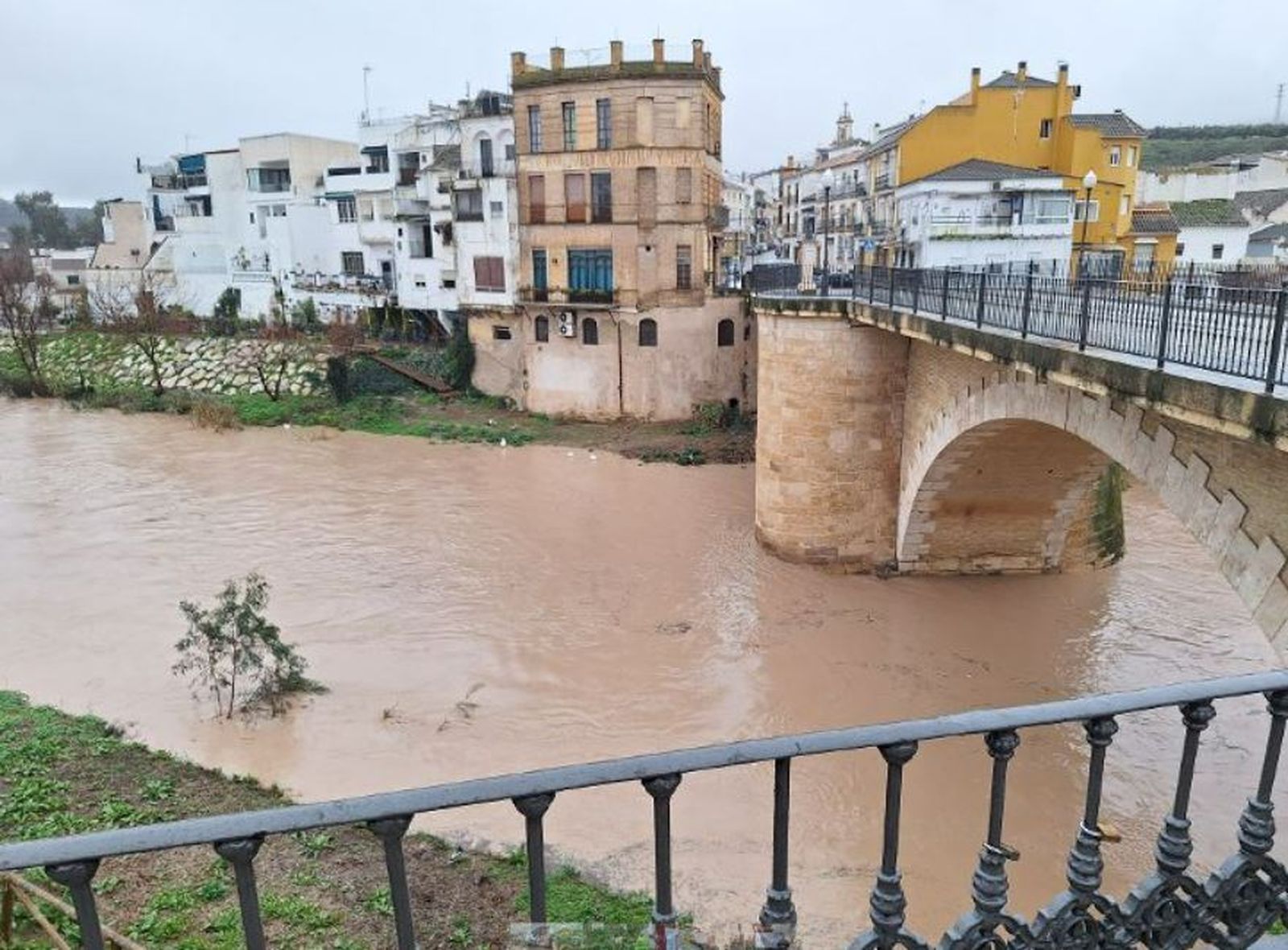 El Genil en Puente Genil.
