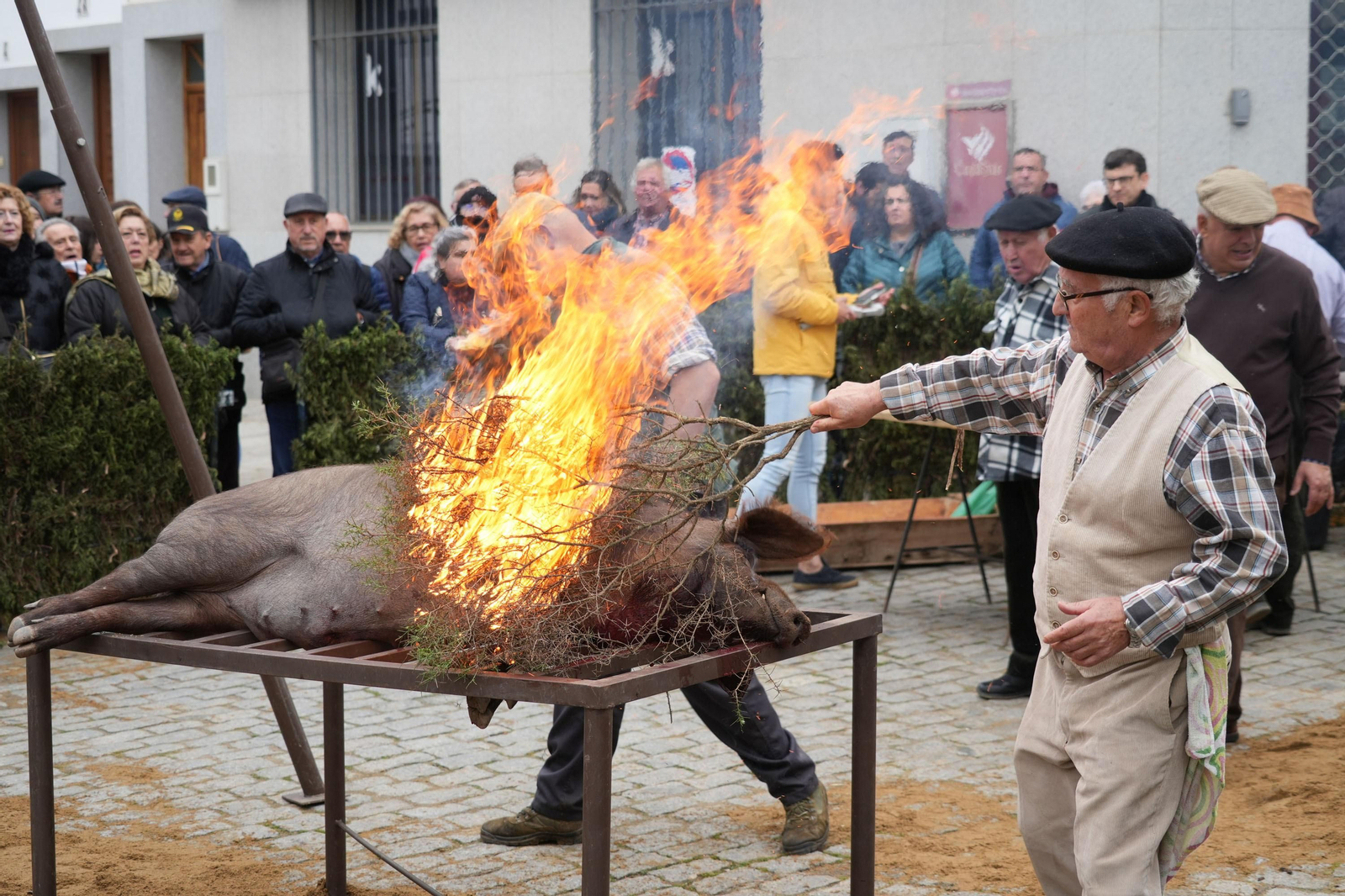 La Fiesta de la Matanza de Alcaracejos, en imágenes
