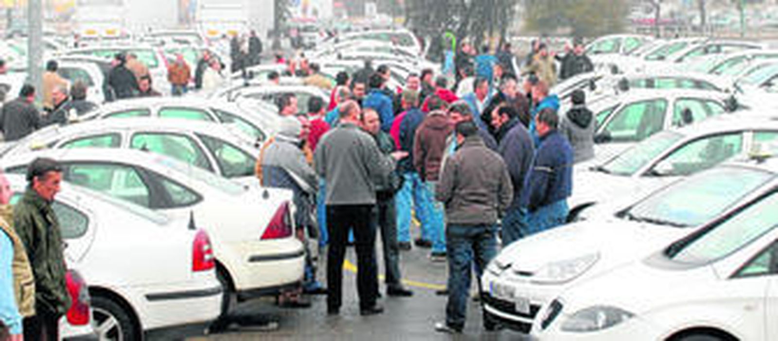 Una gran parte de los 500 taxistas que conforman la flota de Córdoba, concentrados ayer en El Arenal.