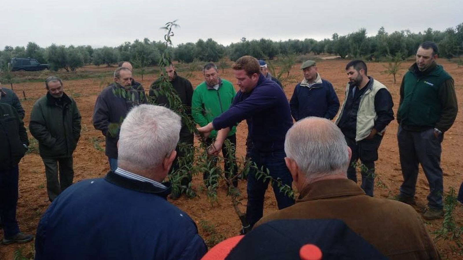 Asesoramiento técnico en campo de CRISARA.