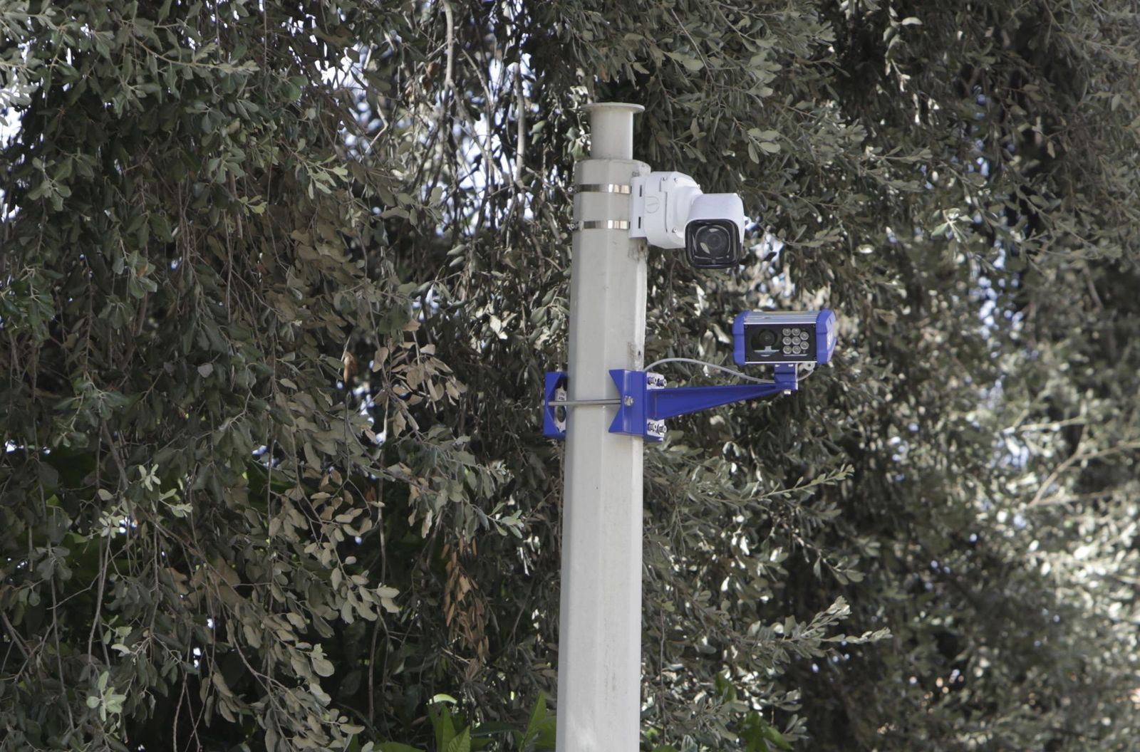 Detalle de las nuevas cámaras del plan Respira, en la zona de Capuchinos.