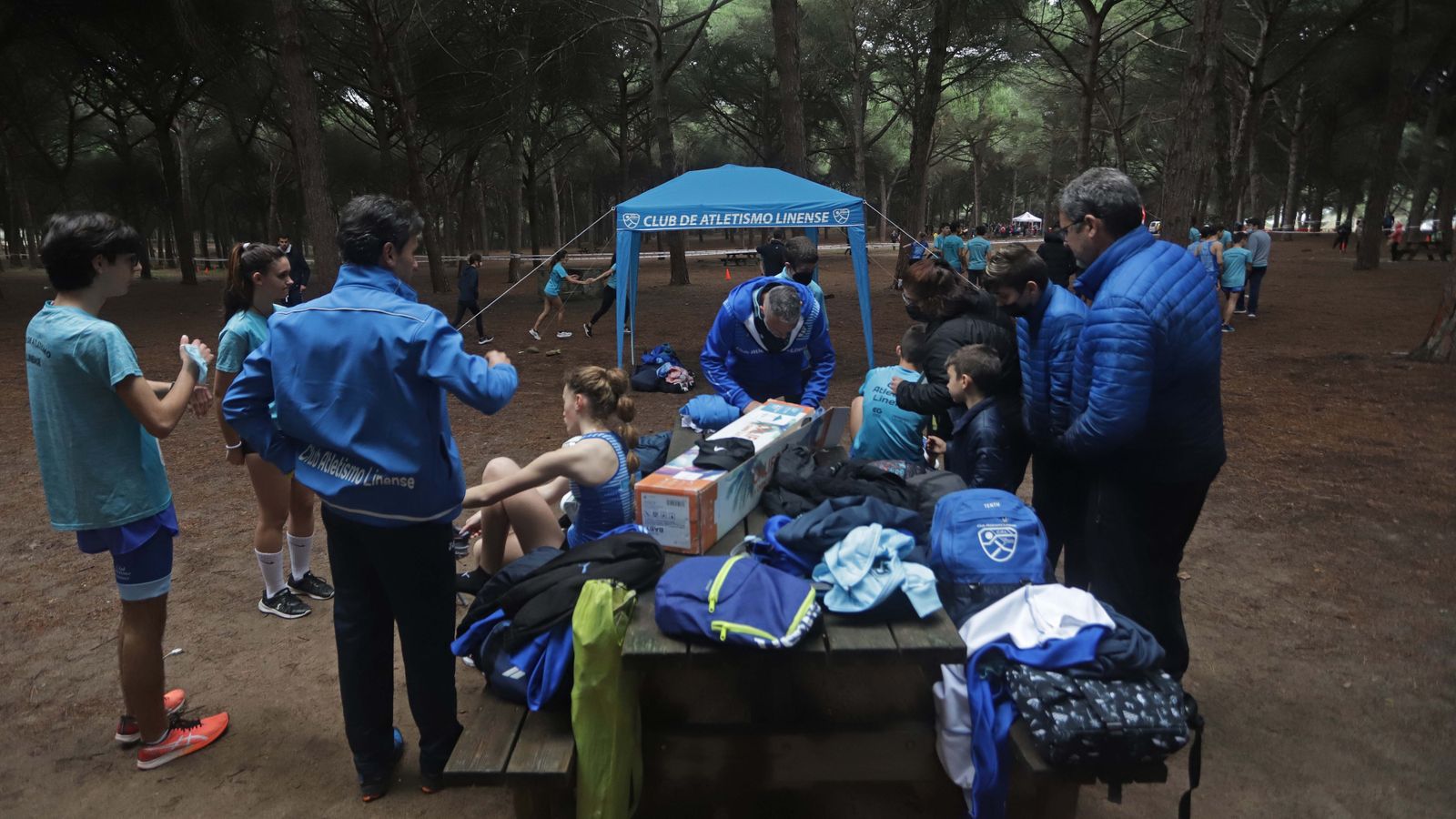 Fotos del III Cross Pinar del Rey en San Roque