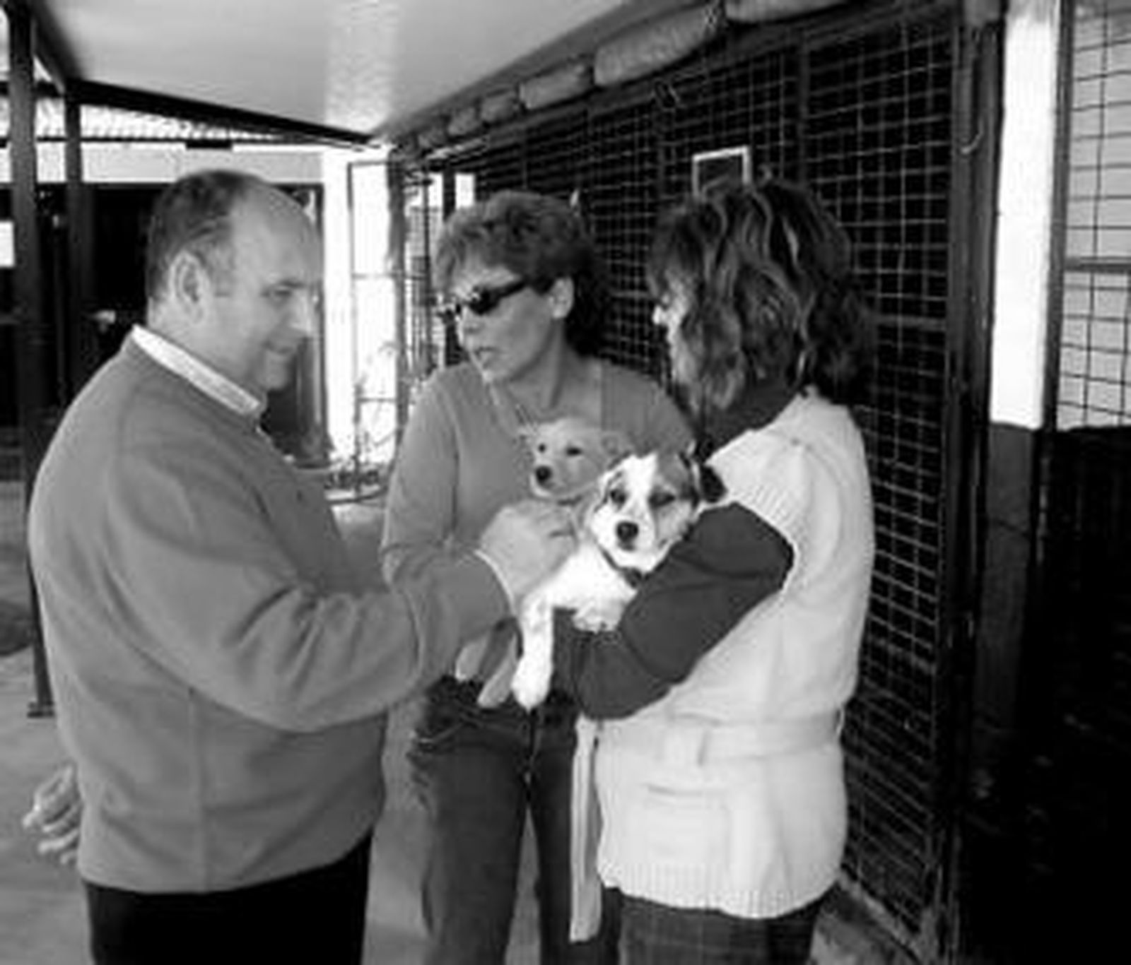 Las instalaciones de la perrera se han ampliado.