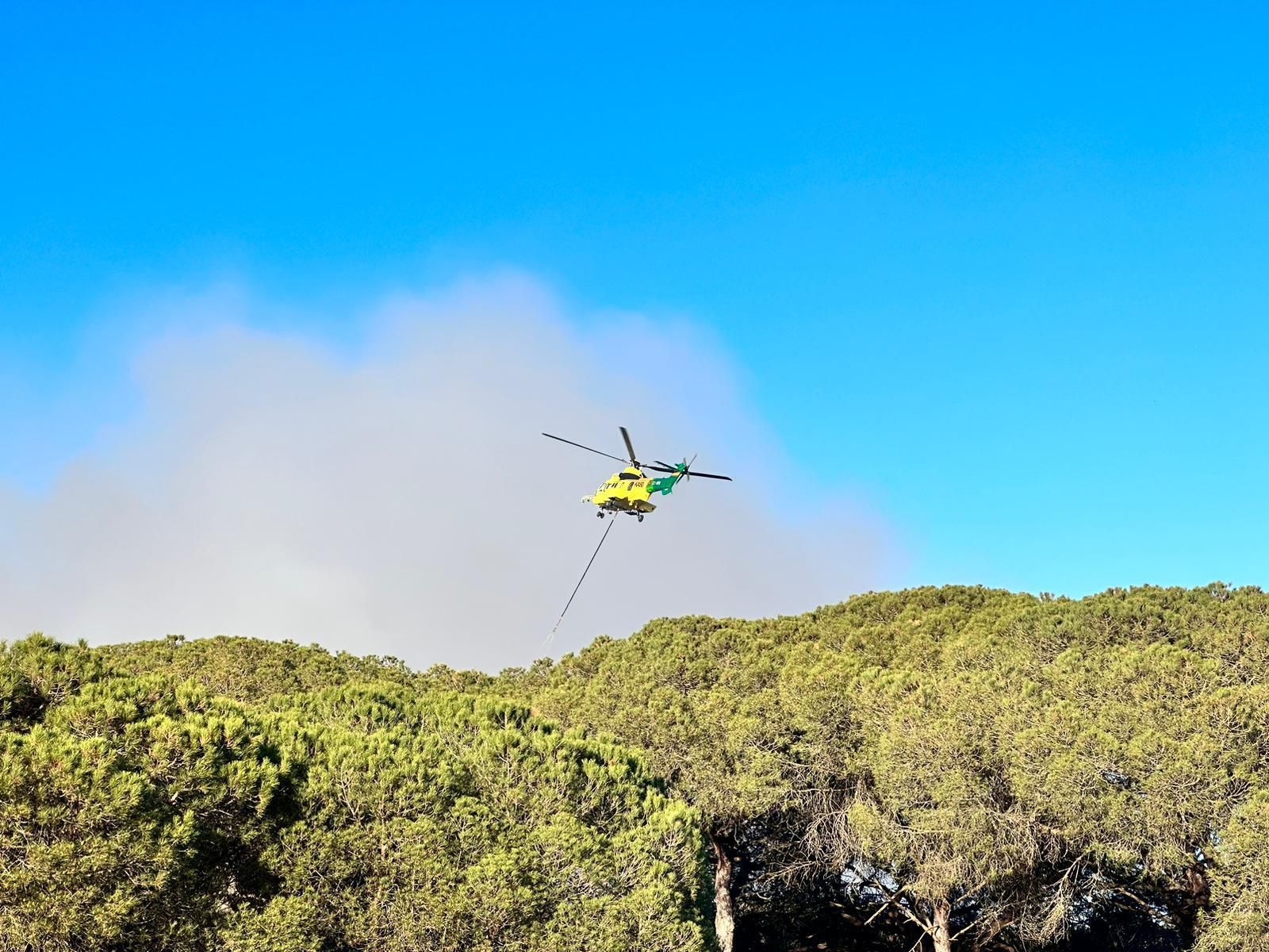 Fuego en la laguna de El Portil: las imágenes del incendio