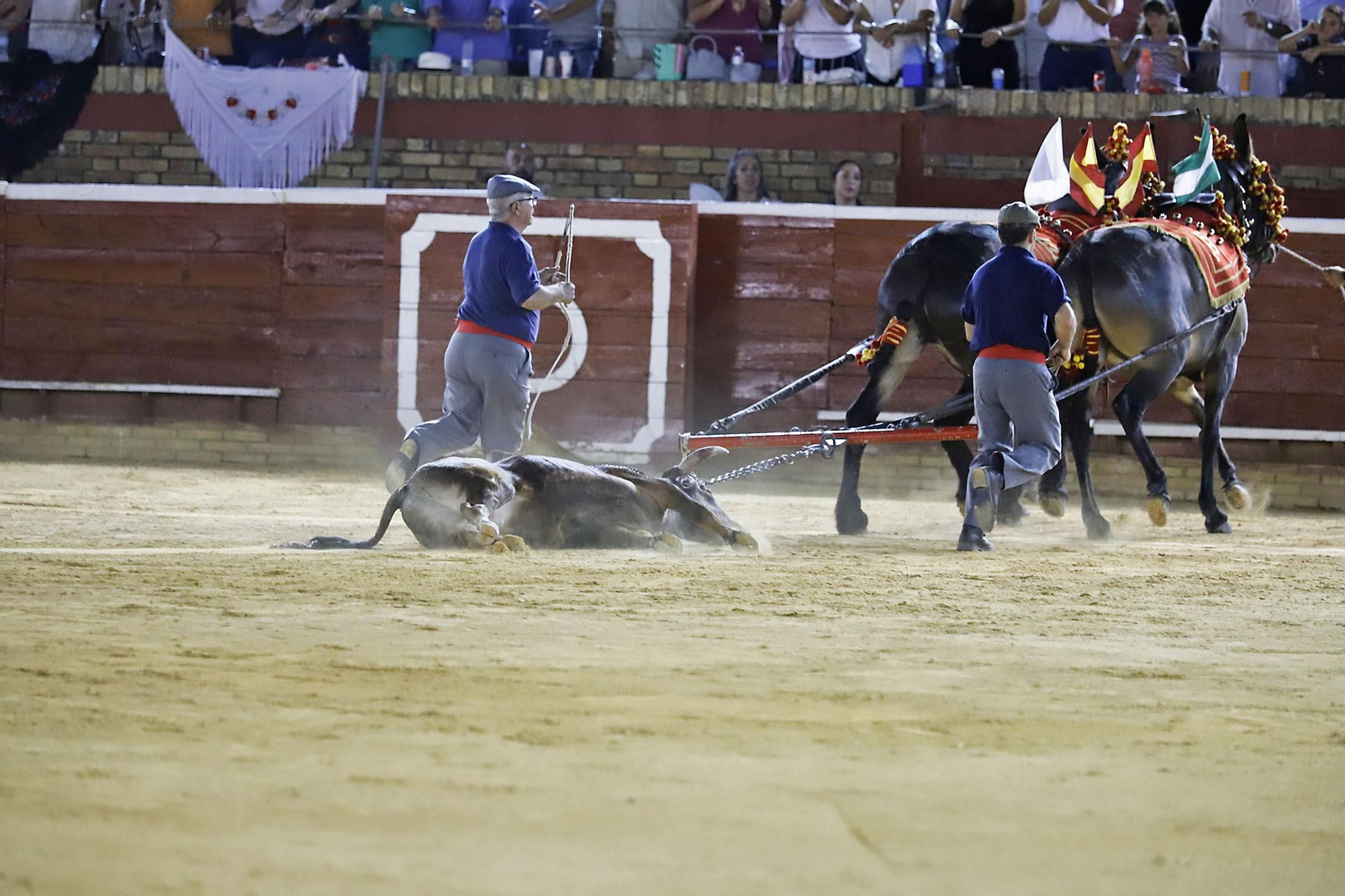 COLOMBINAS 2023: Festejo del miércoles de la Feria Taurina
