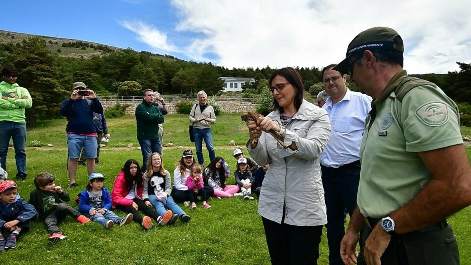 Liberan a un cernícalo en Sierra Nevada