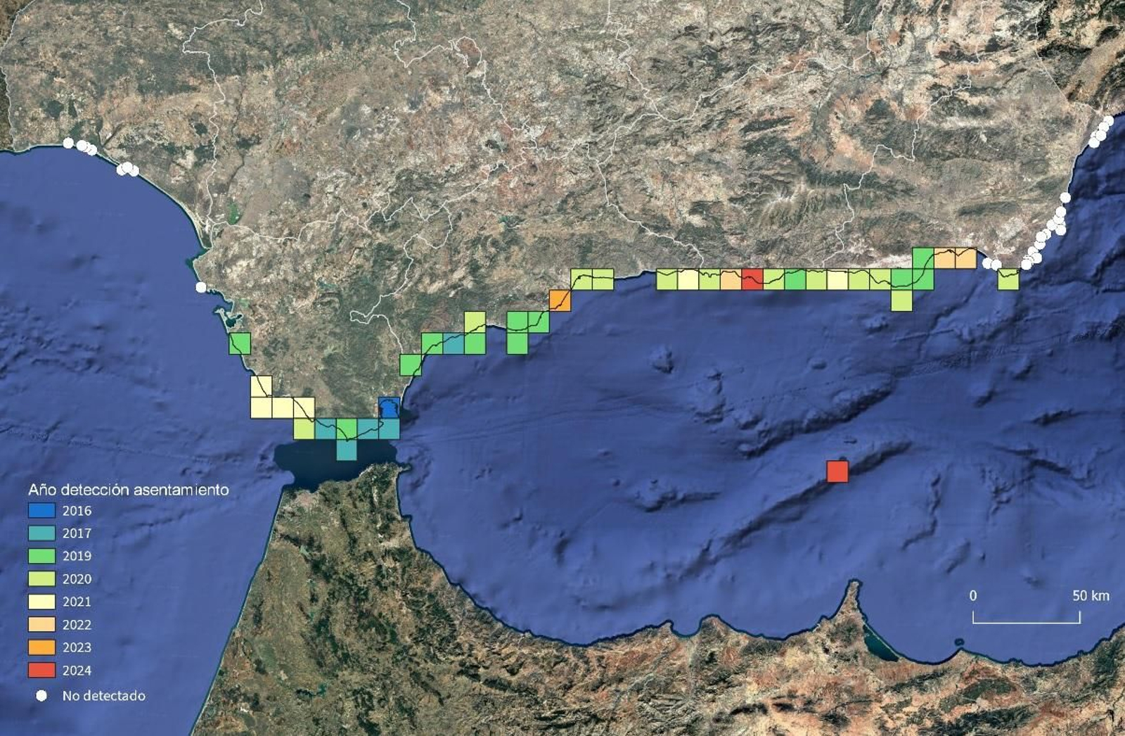 Año de detección de la 'Rugulopteryx okamurae' en las costas de Andalucía.