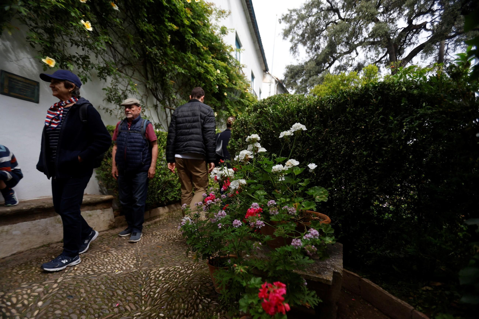 Los Patios del Palacio de Viana, en imágenes