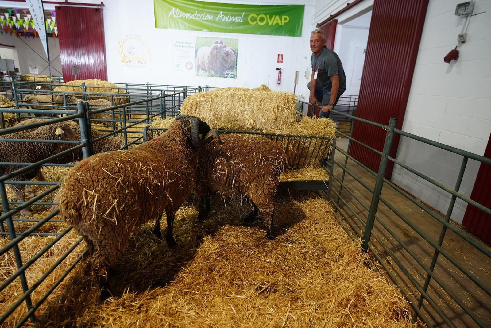Las fotos de la Feria Agroganadera y XXI Agroalimentaria de Los Pedroches