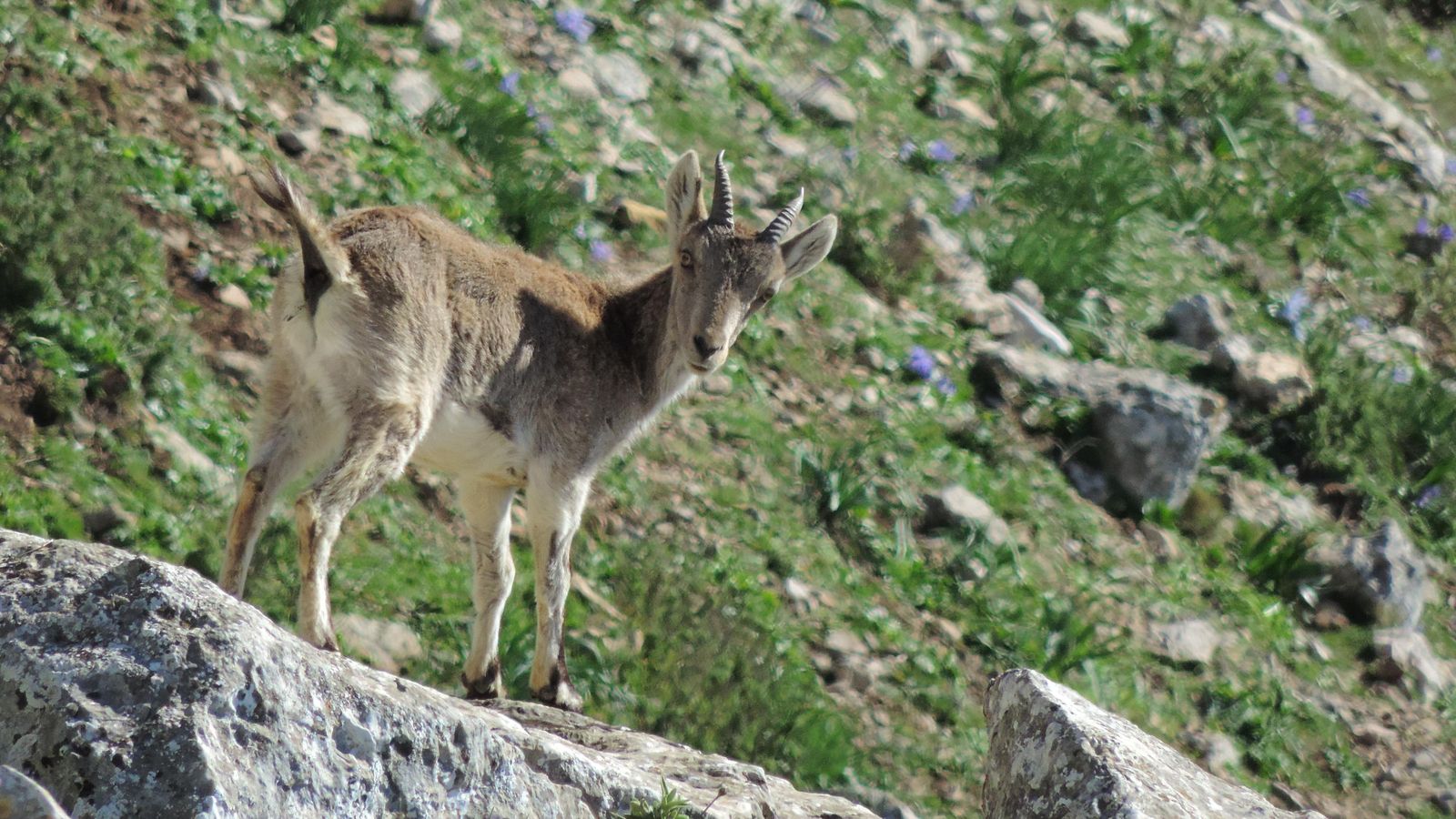 La fauna y la flora encuentran refugio en estos escarpados tajos. ¡Seamos cívicos!