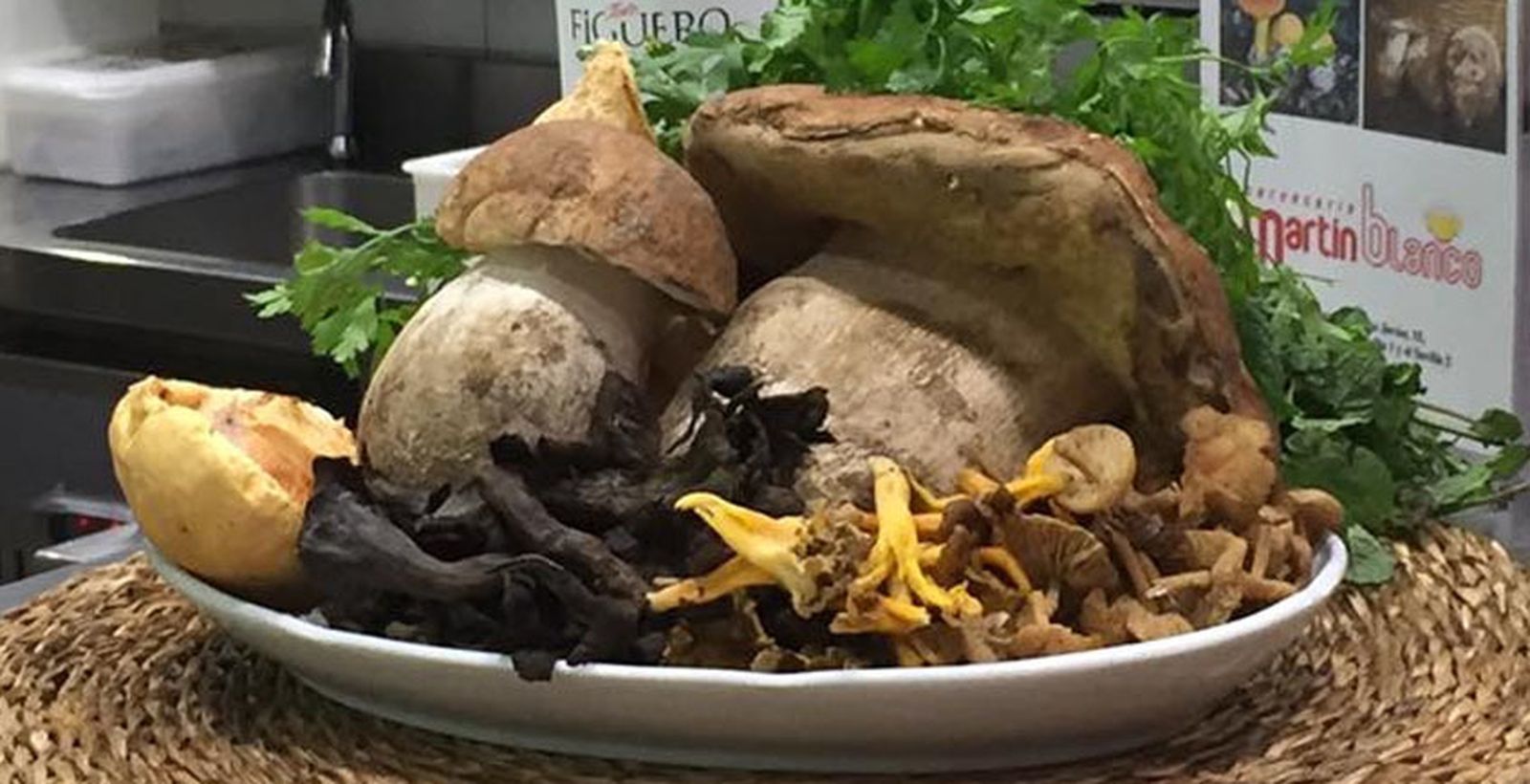 Setas en Martín Blanco