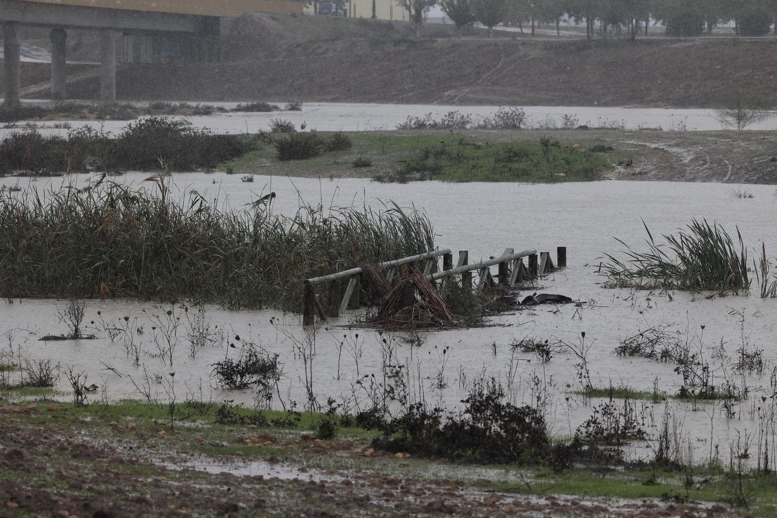 Las imágenes de la crecida del río Guadaíra a su paso por Sevilla