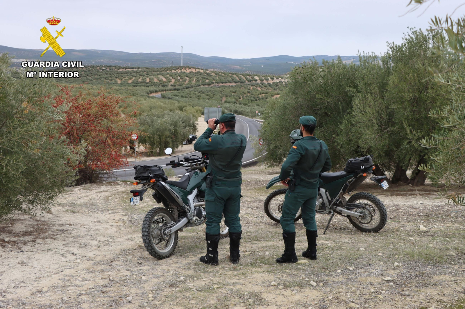 Dos agentes del Seprona.