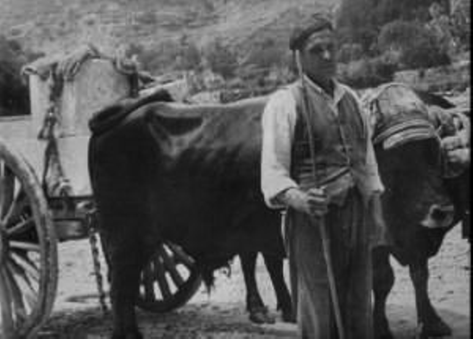 Diego “El Platero” (Macael), último carretero de las canteras hasta 1968