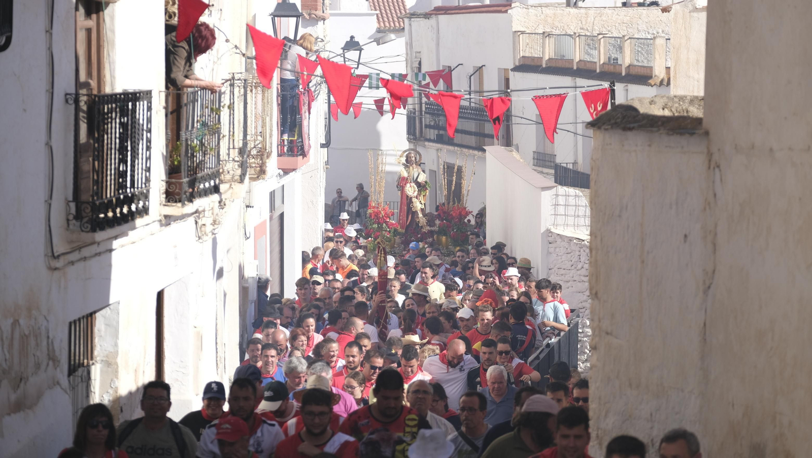 Imágenes de los toros ensogaos y San Marcos, en las Fiestas de Ohanes