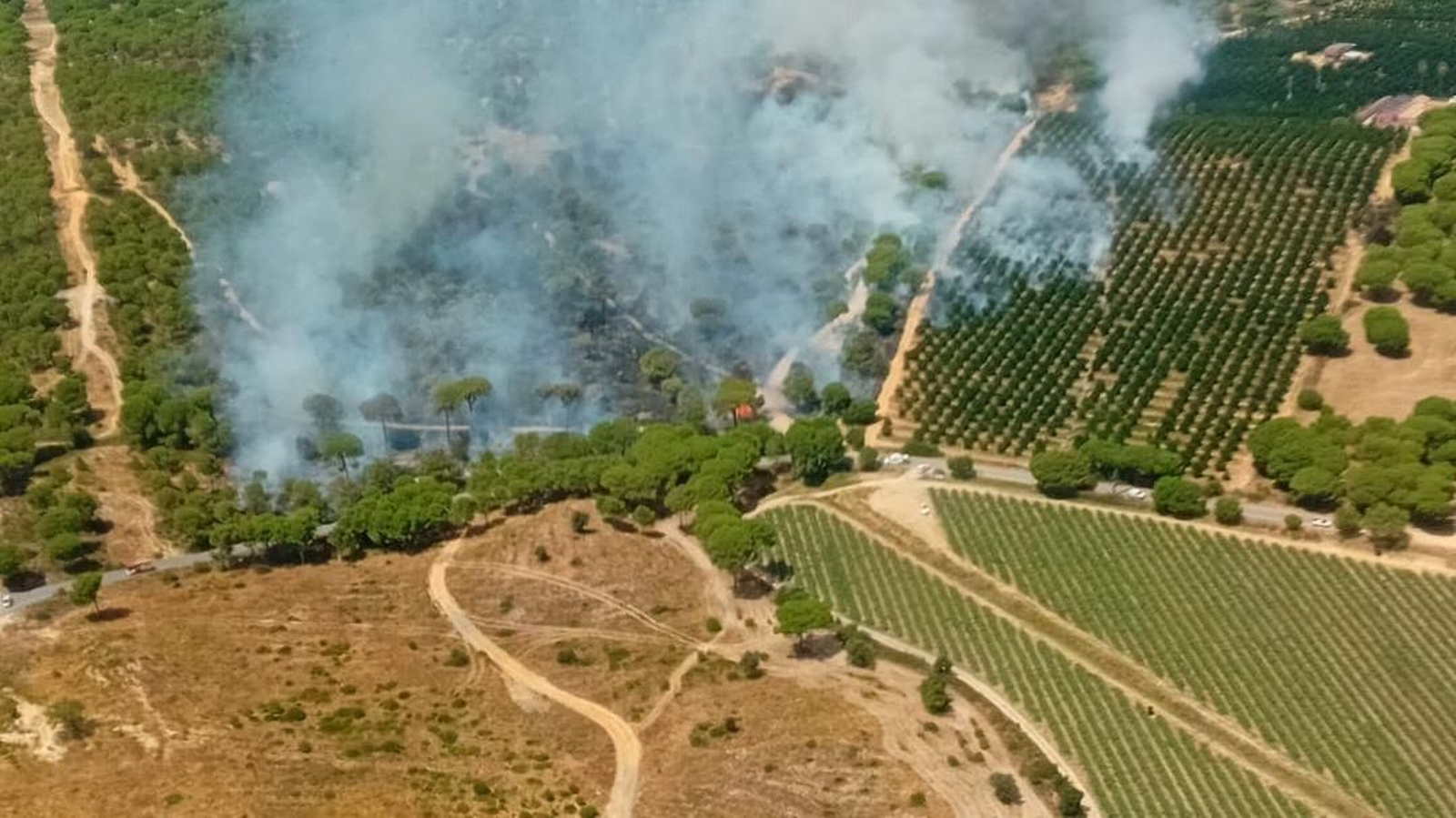 Incendio de Aljaraque.