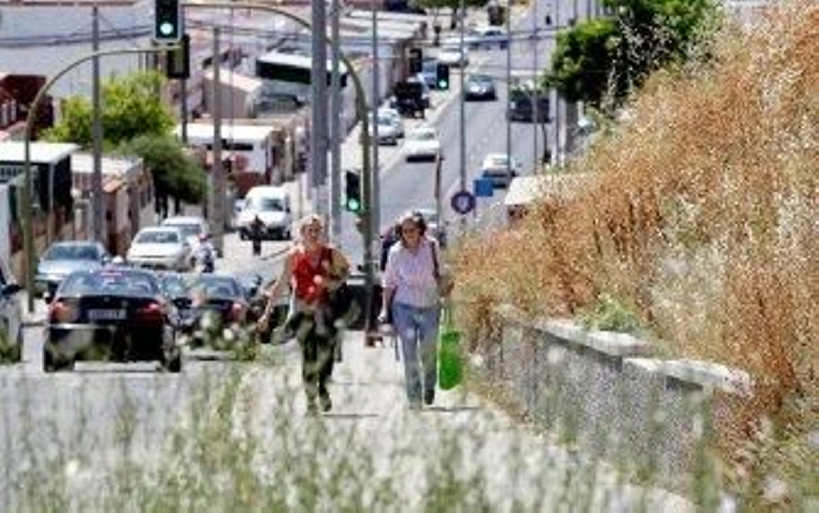 Jerez, ciudad devorada por cardos