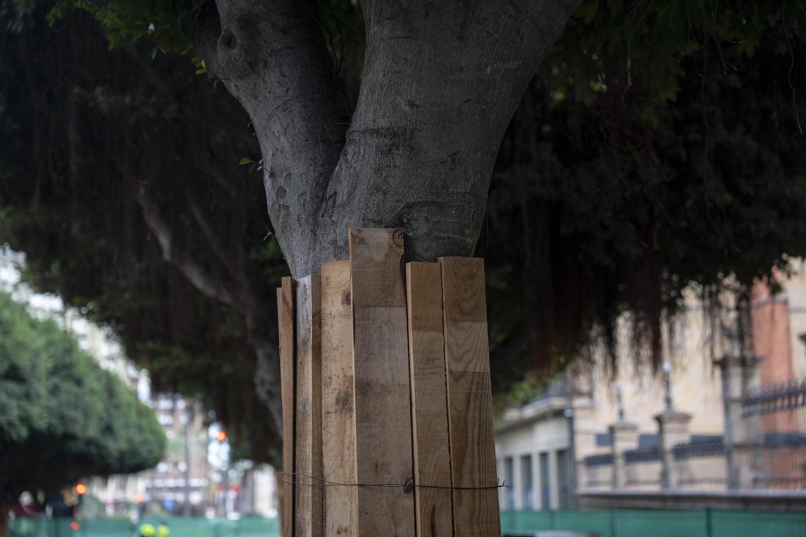 Las imágenes de las obras del paseo de Almería