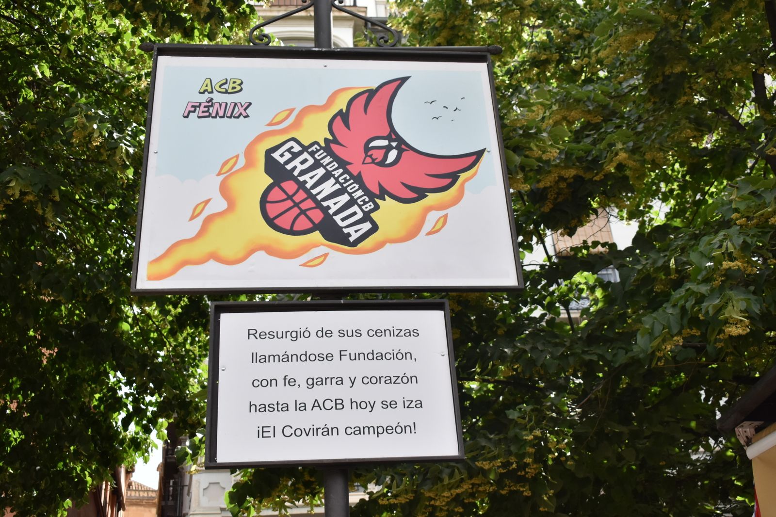 Todas las carocas del Corpus de Granada 2022, en imágenes