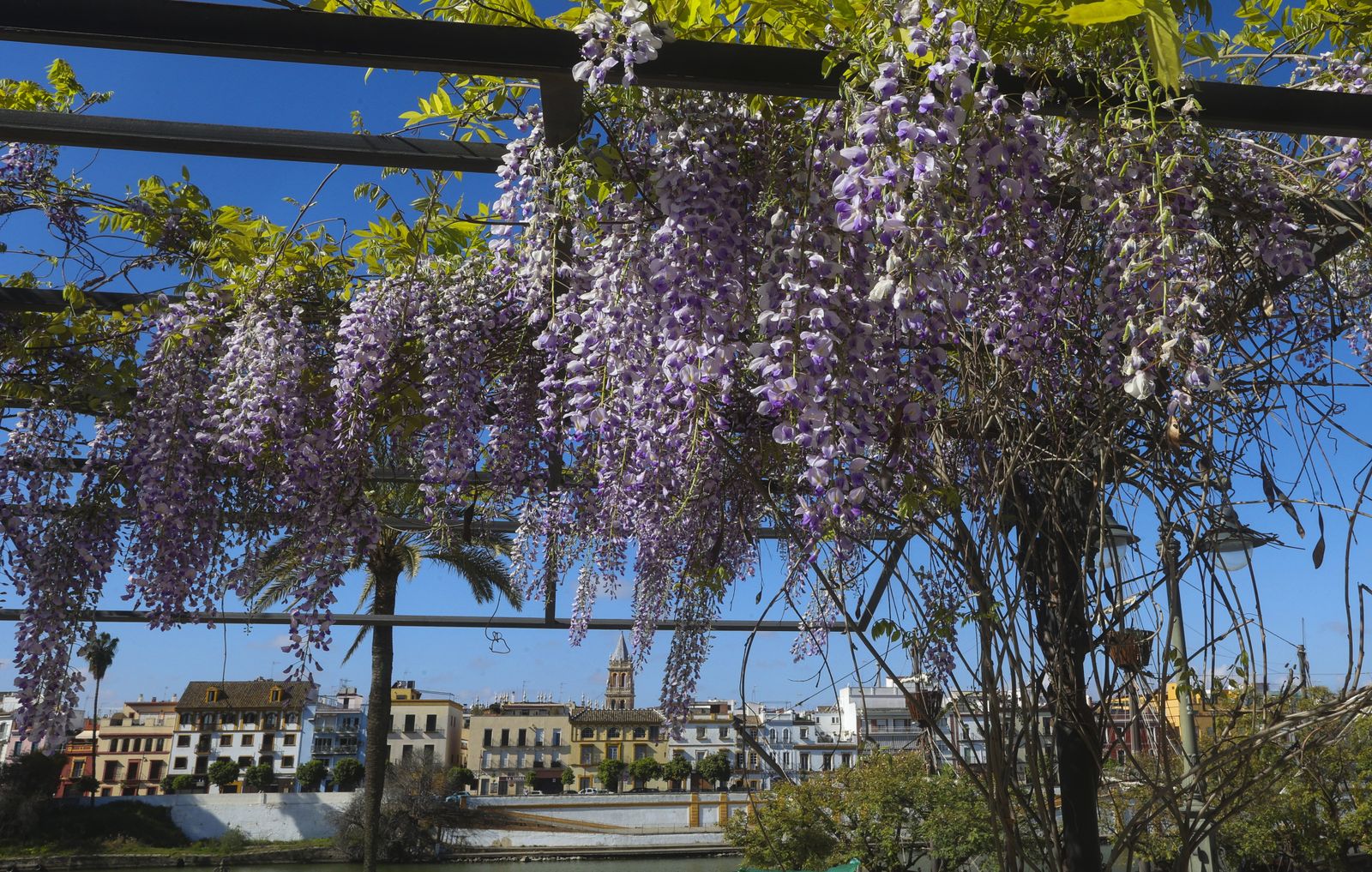 Primavera en Sevilla