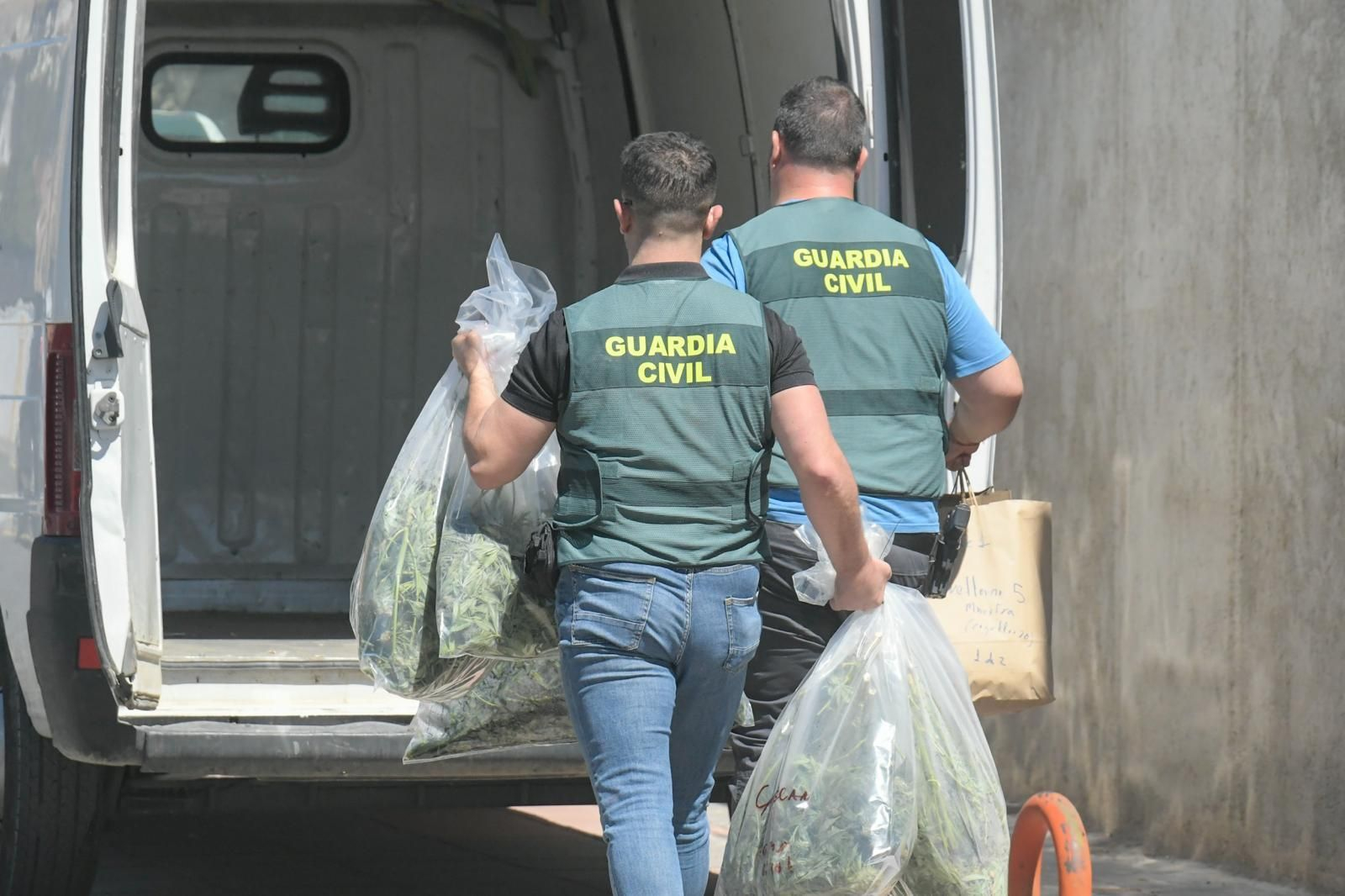 Operación contra la marihuana en Pinos Puente