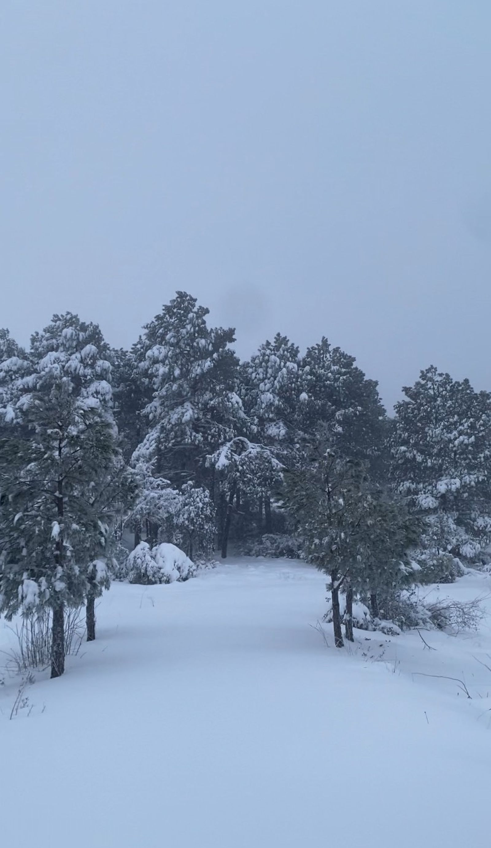 618269708_1244958927560678_1931391932554438723_n