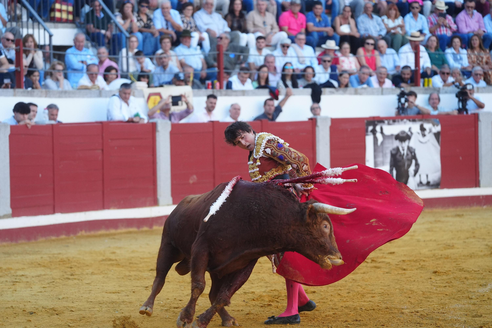 El triunfo de Rocío Romero, Manzanares y Roca Rey en la plaza de toros Pozoblanco, en imágenes