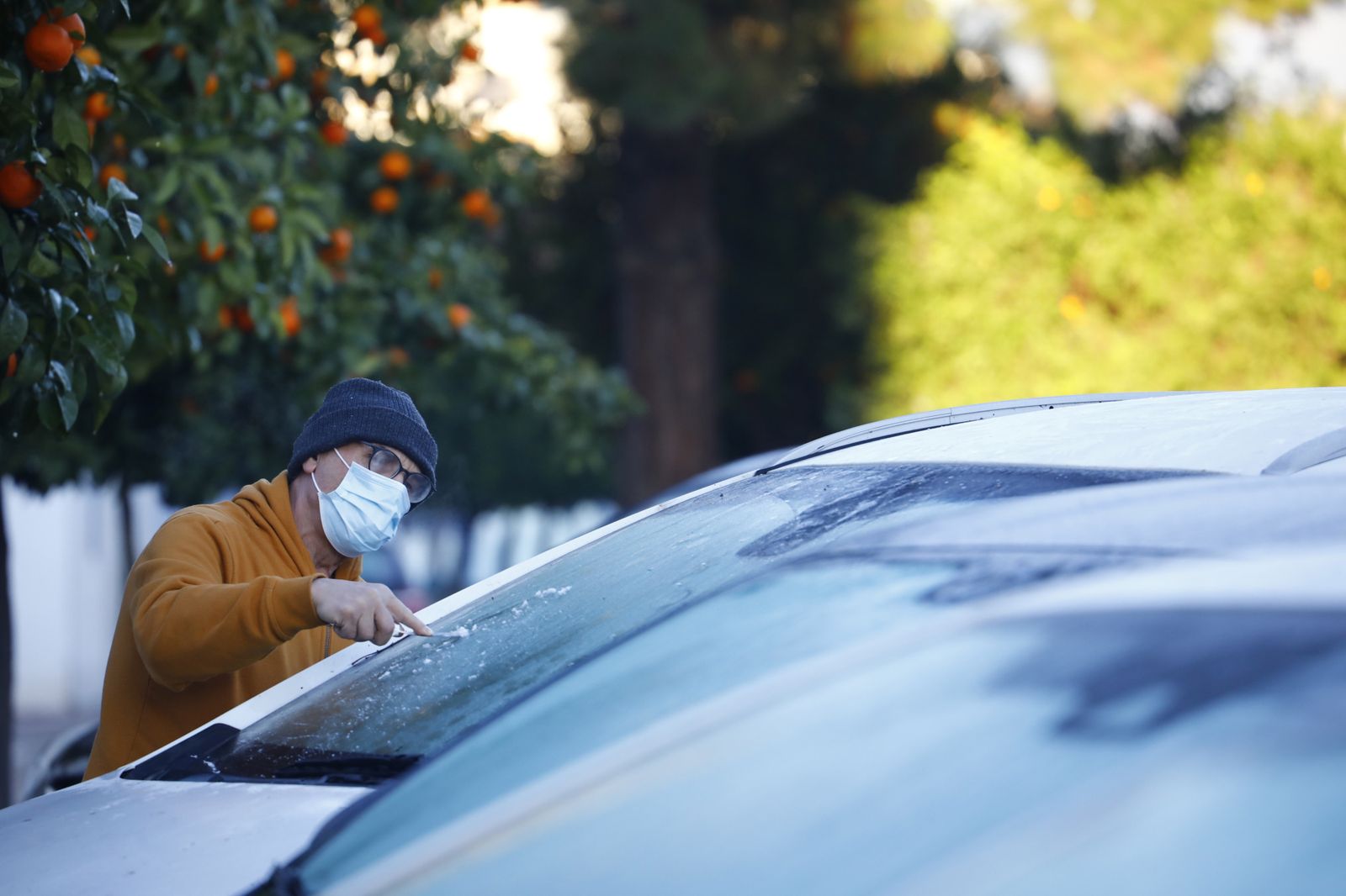 La ola de frío en Córdoba, en fotografías