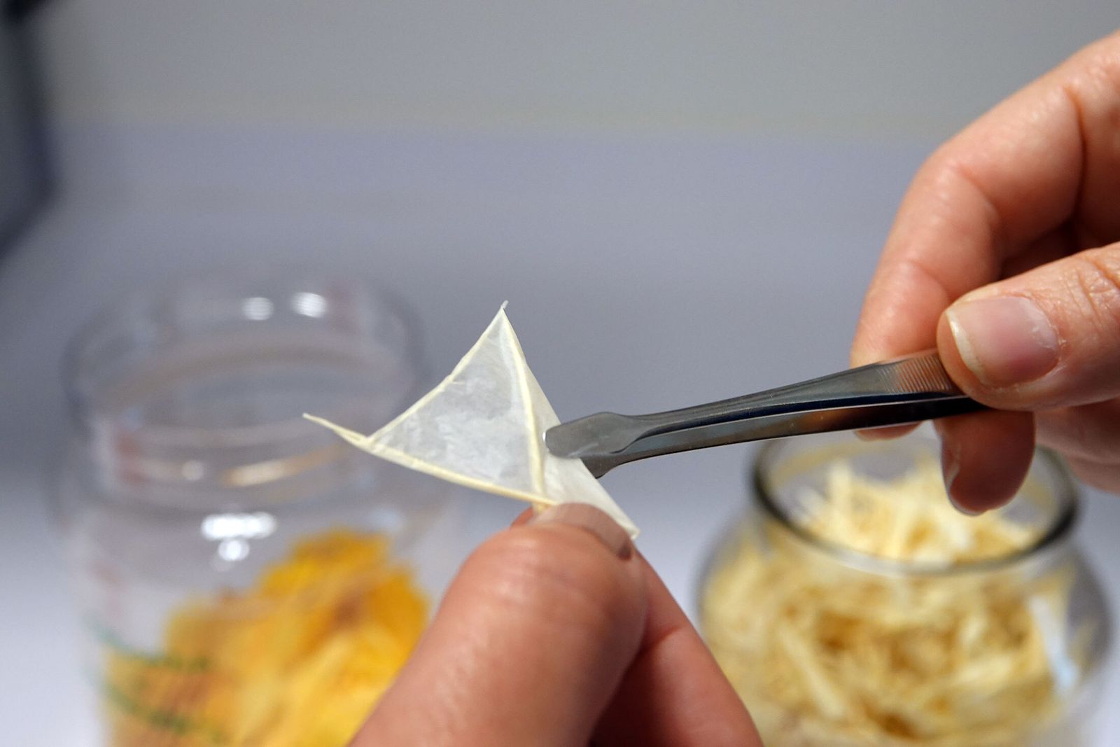 Identifican la cutícula como barrera de protección de las plantas frente a radiación ultravioleta