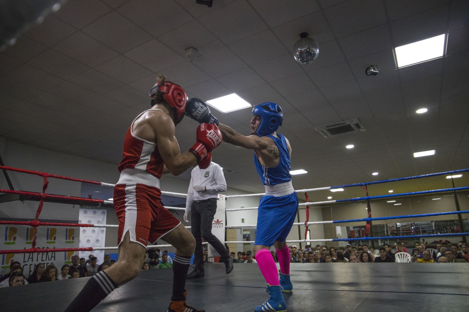 La cantera del boxeo granadino se luce en Armilla