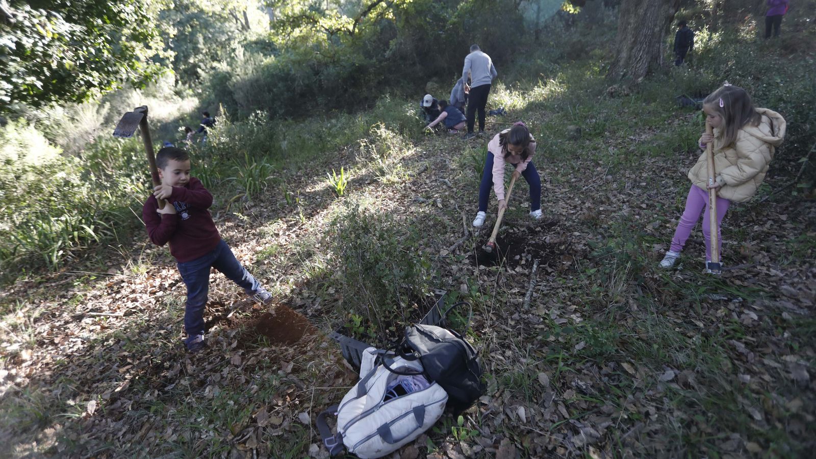 Jornada de reforestación en El Palancar por trabajadores de Acerinox, en imágenes