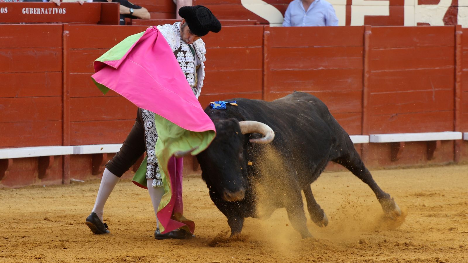 Tercera tarde de toros y última de la Feria de Jerez con Morante, Juan Ortega y Roca Rey