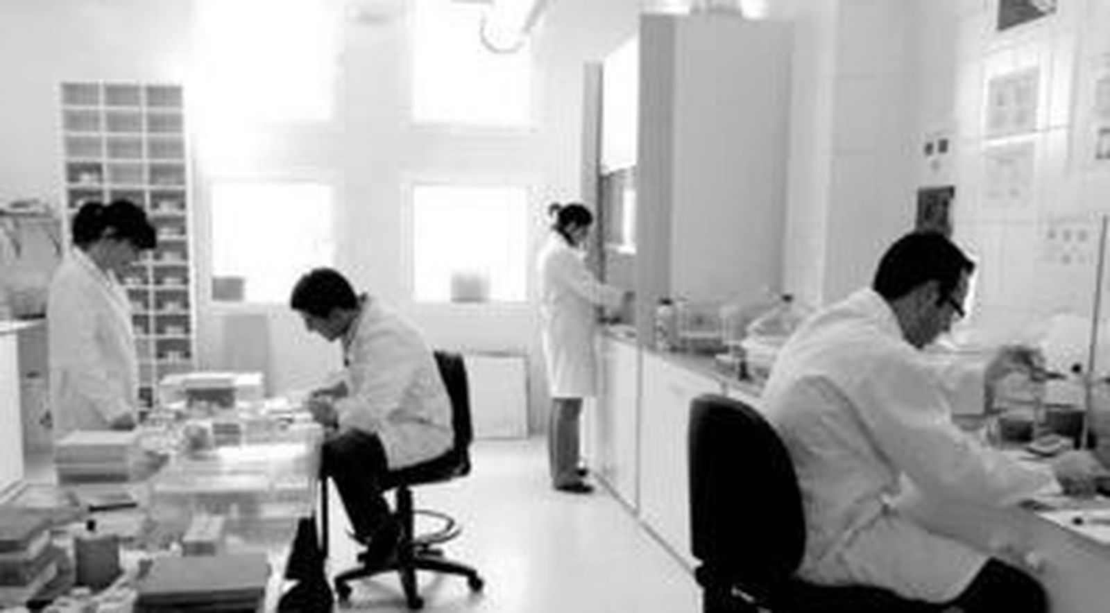 En el proyecto participa un nutrido grupo de investigadores procedentes de la Universidad de Almería y de la Plataforma Solar.