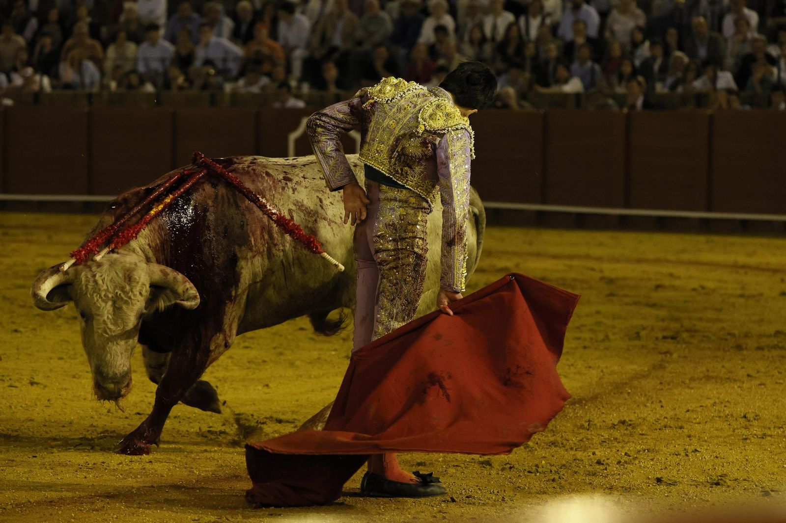 Las imágenes de la Novillada