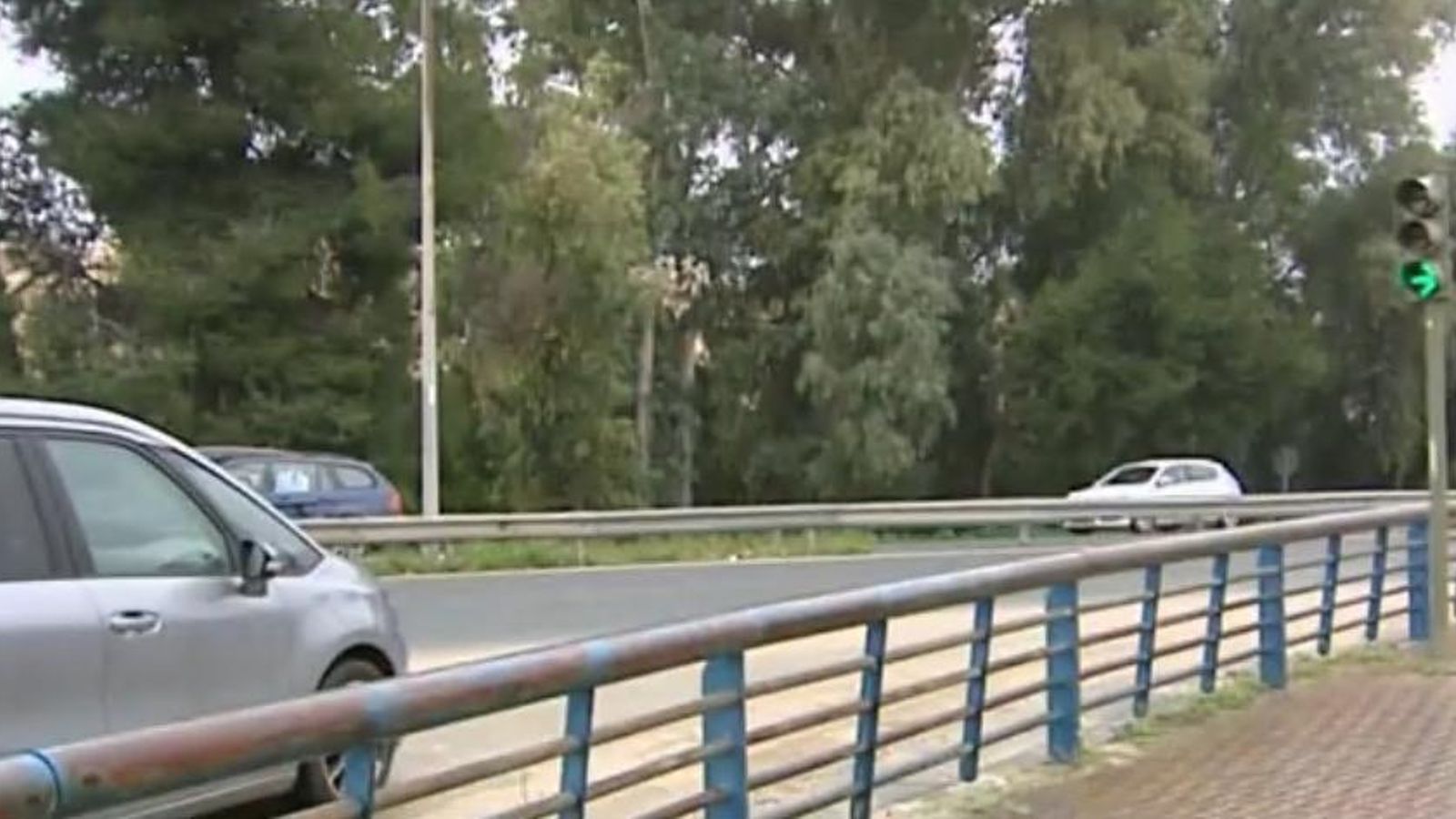 Semáforo en verde ubicado a la salida del Charco de la Pava en Sevilla