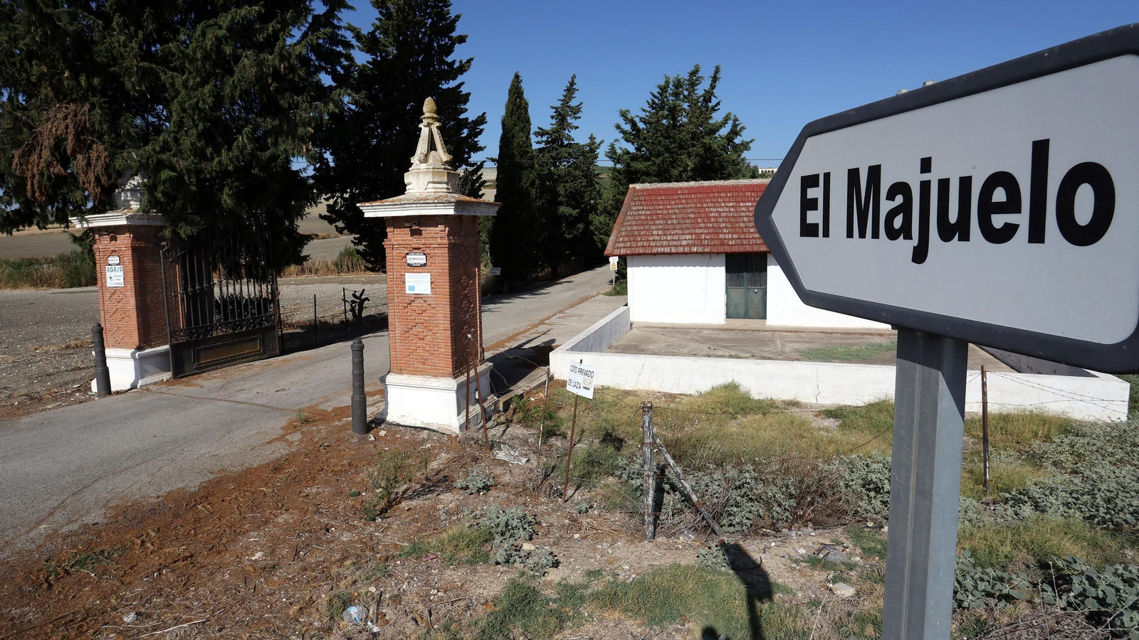Fundador comienza su vendimia en Jerez