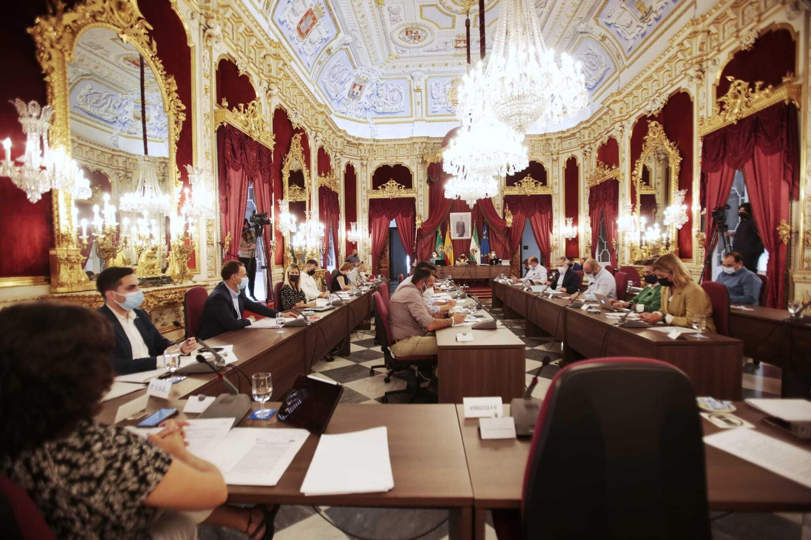 Imagen de archivo del pleno de la Diputación de Cádiz, que este miércoles fue telemático.