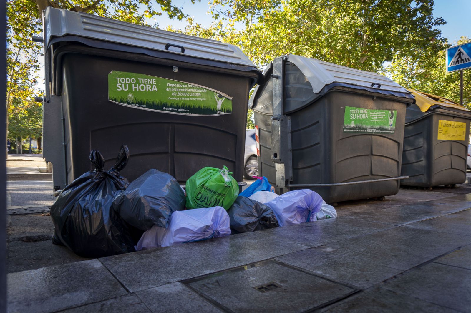 Las soleras dan una imagen de suciedad y es una de las principales preocupaciones del área.