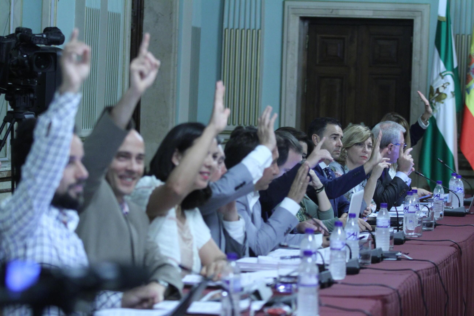 Concejales de Participa Huelva, Mesa de la Ría, Ciudadanos y Partido Popular alzan sus manos en la aprobación unánime de una de las mociones de ayer.