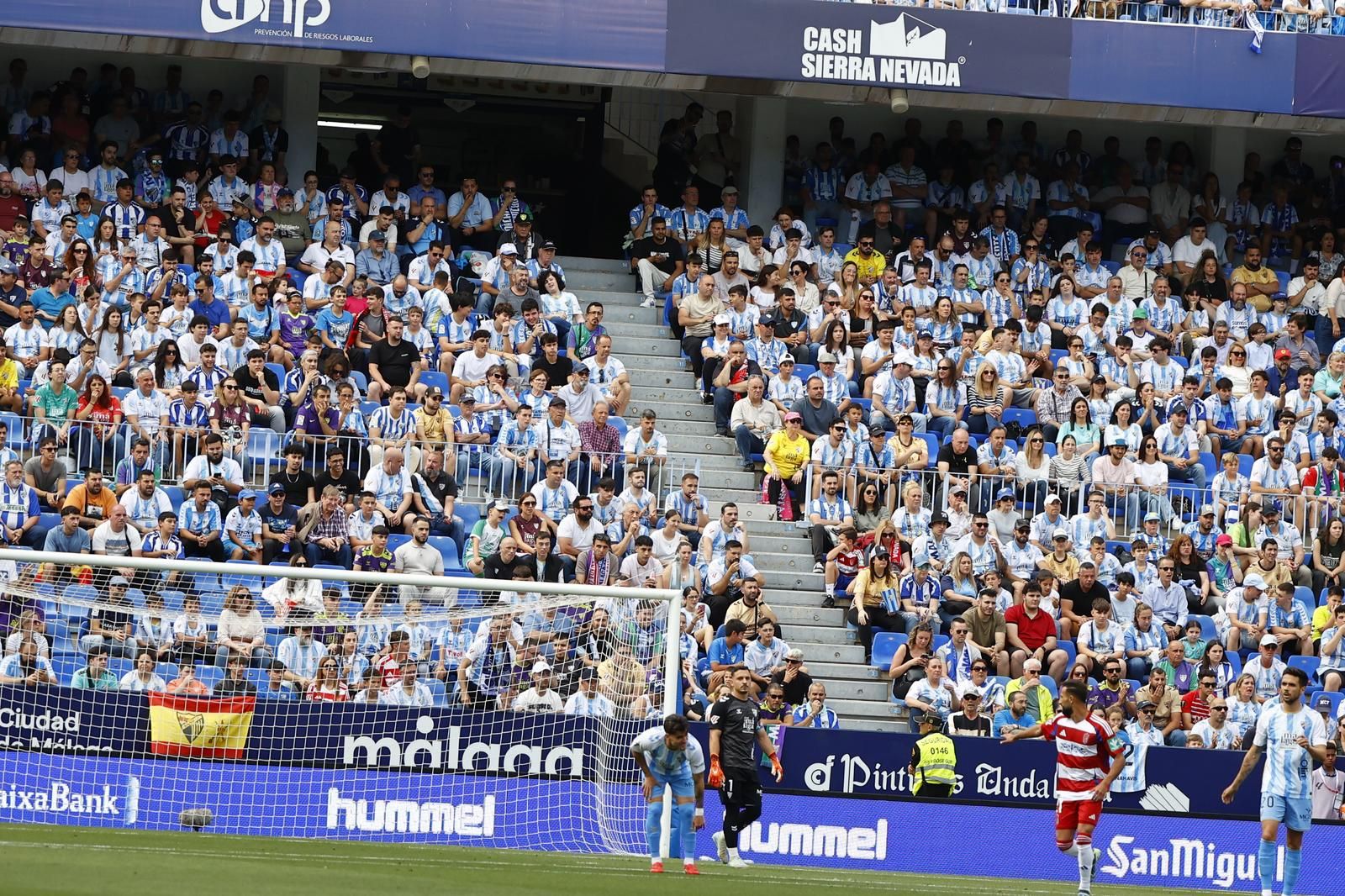 Búscate en el Málaga CF - Granada en las gradas de La Rosaleda