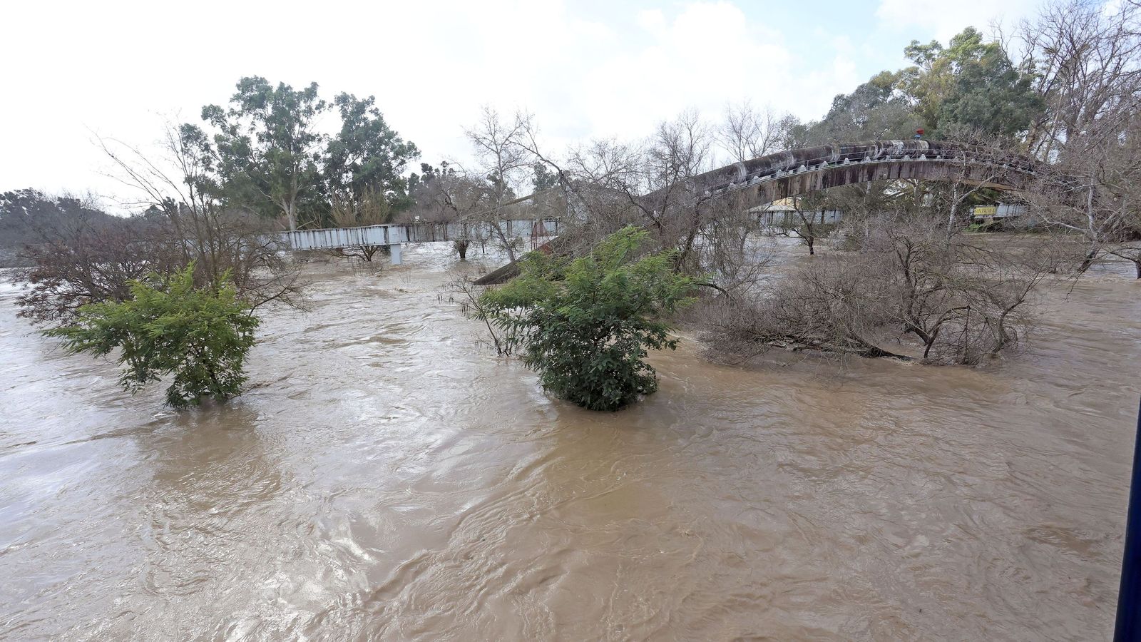 Así afronta la zona rural de Jerez la subida del río Guadalete