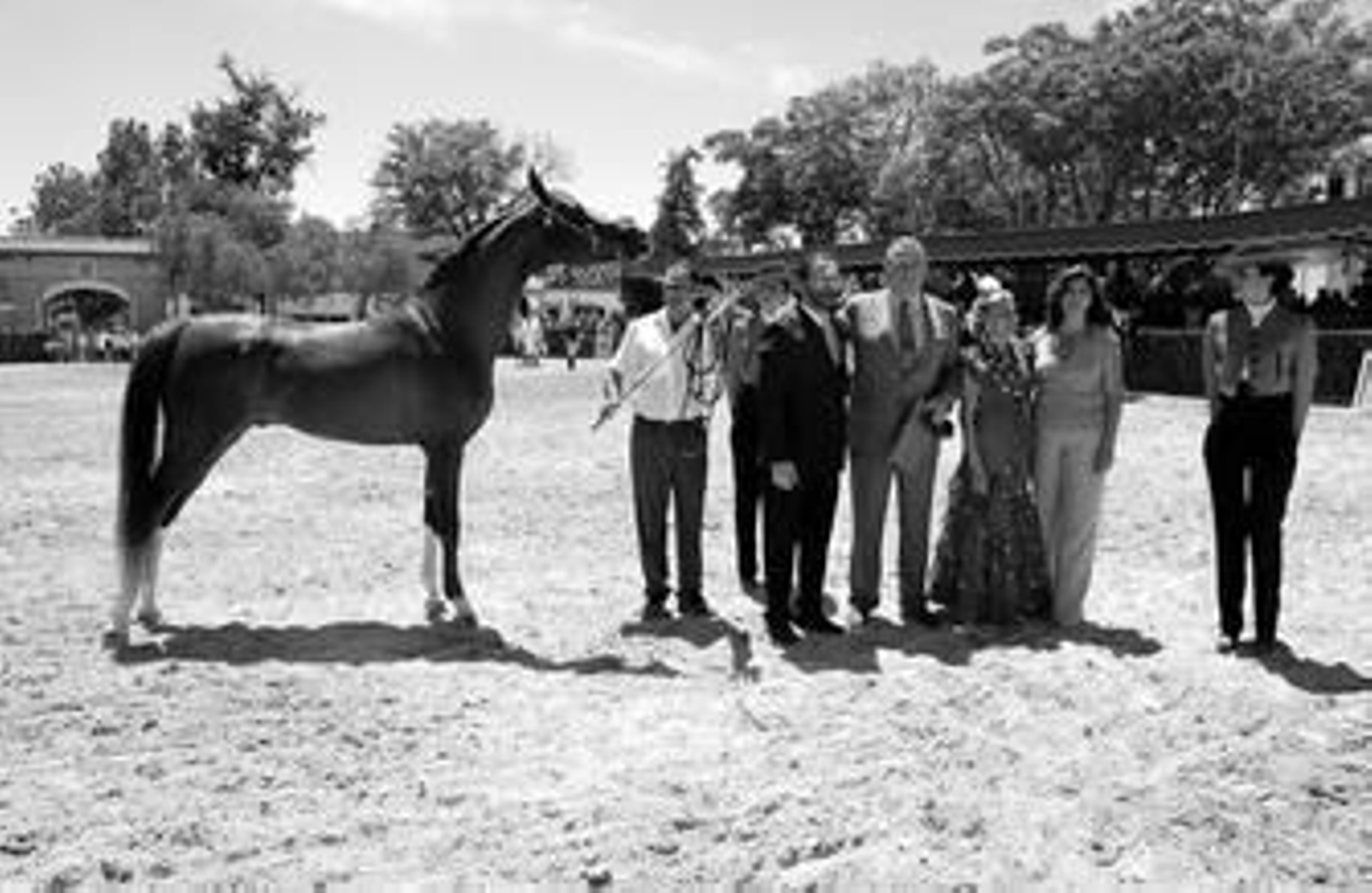Nicolás Domecq, a cuyo hierro pertenece 'Eclipse', ayer tras la entrega del premio junto a su esposa Soledad Oriol, Jaime Castro y Dolores Barroso.