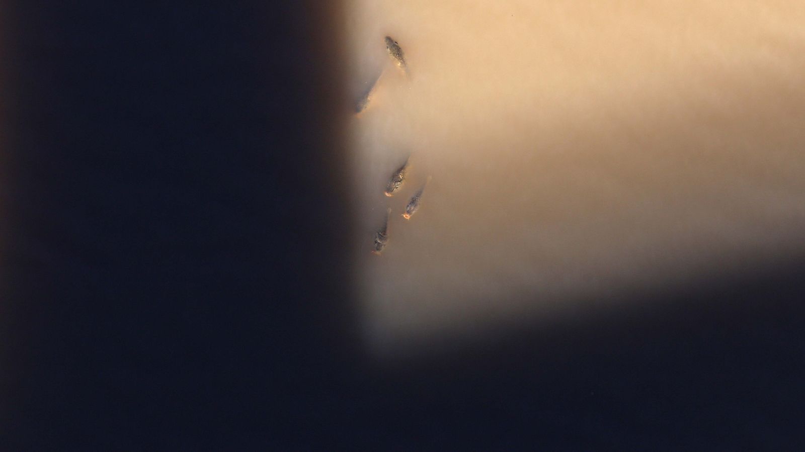 Embalse de Charco Redondo en Los Barrios