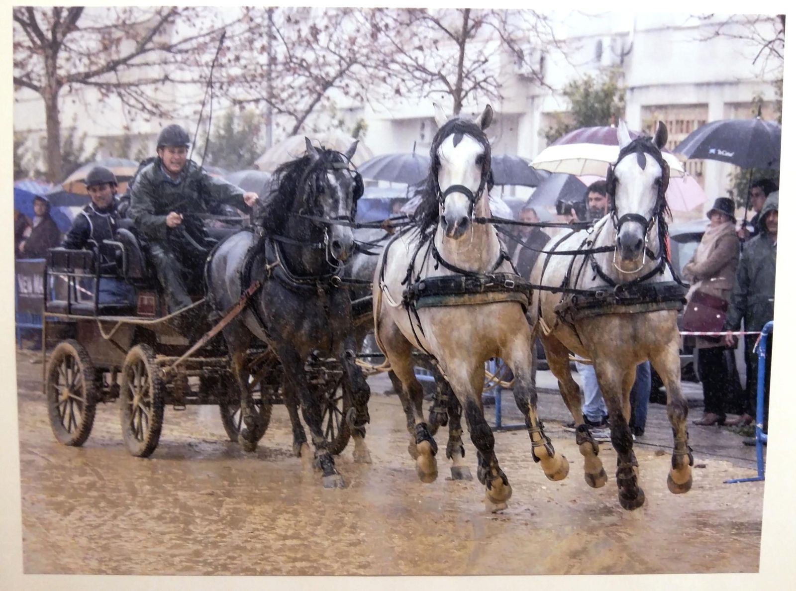 Una de las imágenes exhibidas en el Museo Histórico Municipal.