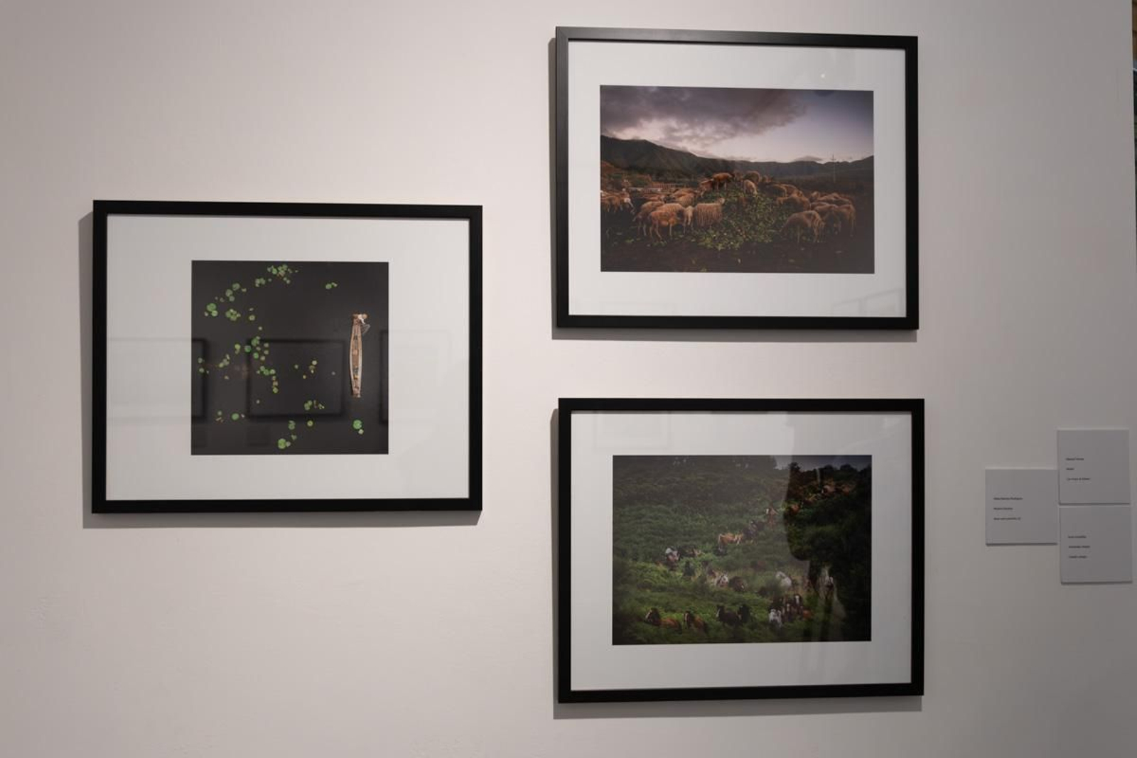 Exposición La Tierra, corazón de la vida, en imágenes