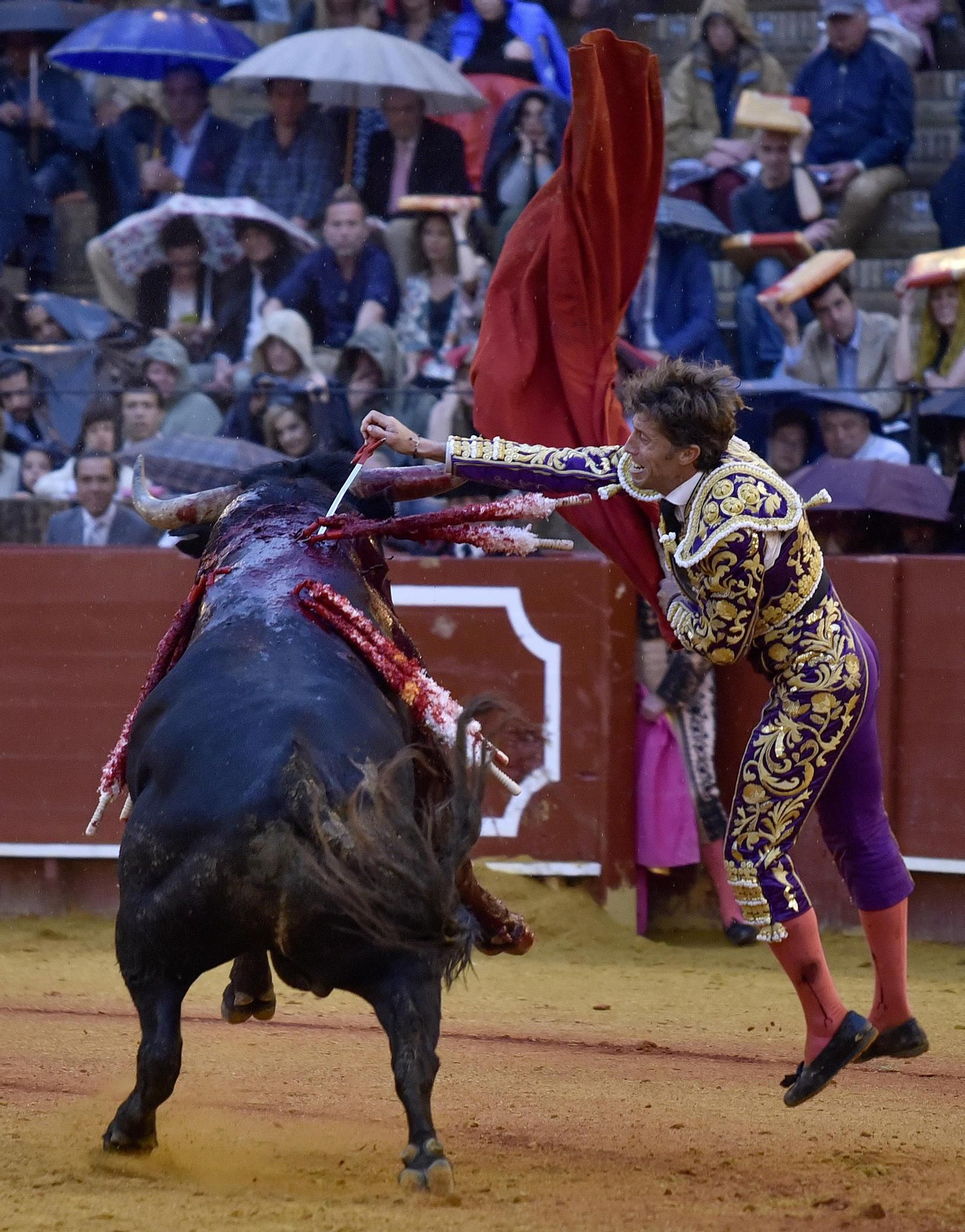 Las imágenes de la 14ª de abono de la Maestranza