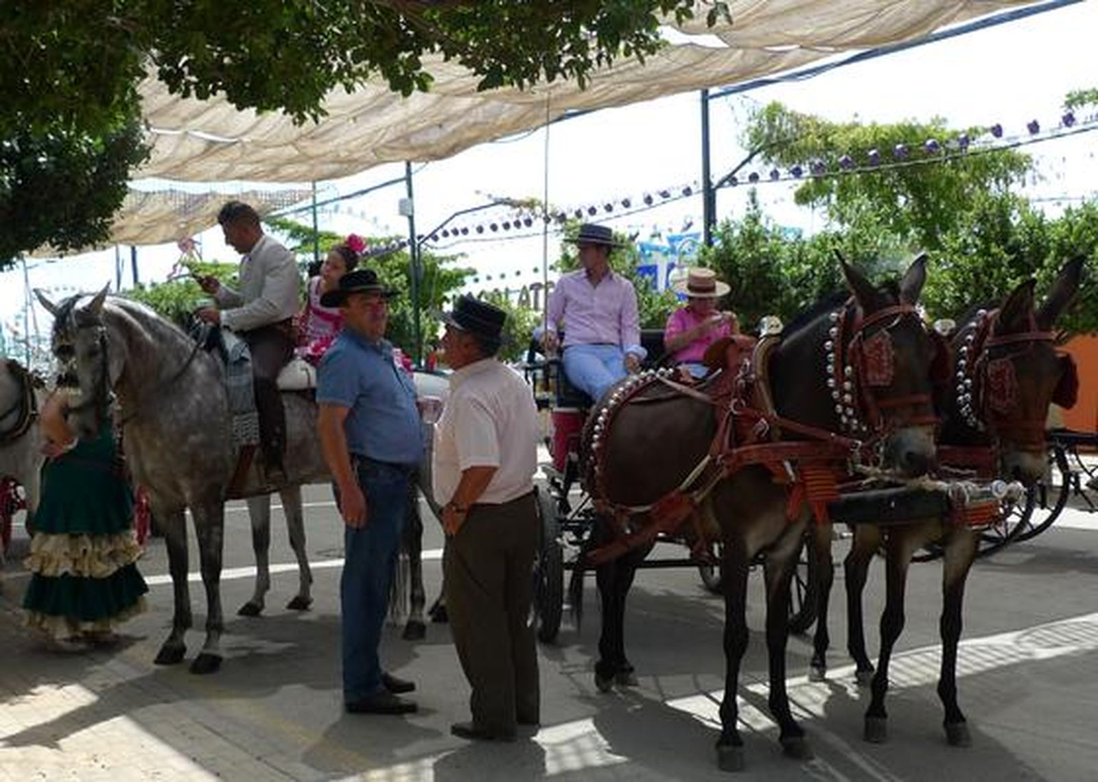 La recta final no defraudó

Foto: J. Albiñana - S. Camacho - M. Fernández