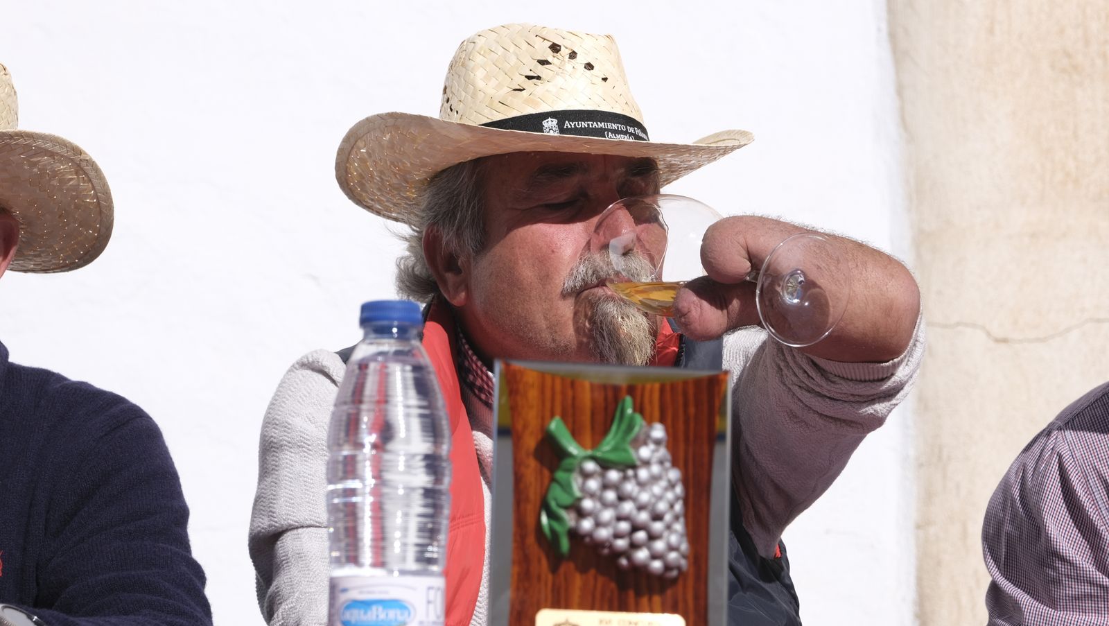 Imágenes del Certamen de Mostos de Fiñana